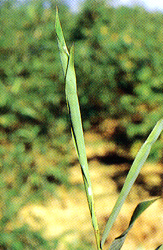 �˱������R���N�˸��߸������T�w�������