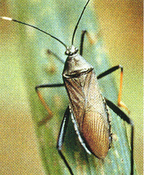 >�����t�϶H����