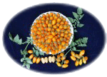 ���פp�G�f�X�s�~��-�x�n�Q�G���]���v�^
