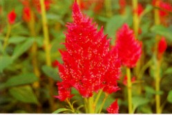 �Ъ����a��A���q�ٻ���A��Ǭ��y���