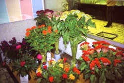 �����ᥫ���i�ܪ����a��s�R�~�ءA�b���a��o����������