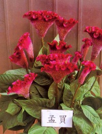 ������]�I��������s�R���a��~��۷��u�}