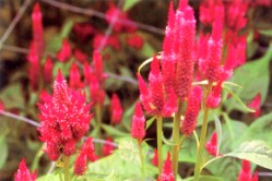 �L�u����Ъ����a��ǩ��]���ŦӦ��촲������