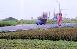 ����ЭY�󰨸��ǤS�S���B���A�a�������Ӯ�|�]���O�ө���}��