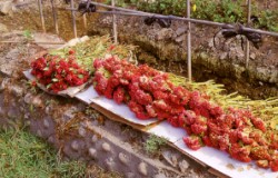 ������a�᪺�A���ߺD�ۦ�d��