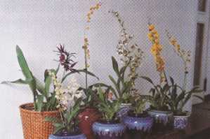 ������֪�