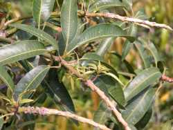 ���װŪK��o�|����m