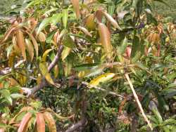 ���װŪK��o�|�s��