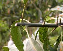 ���G�K�װŪ���m