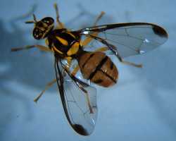 �n�ʹ��Ƕ�����