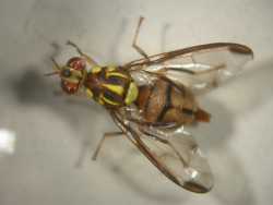 �n�ʹ��ǻۦ���