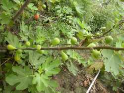 �i�J���G�~�֪��Ӯ�A�C�Ӹ`��ҥi���G