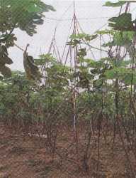 �L��G�]�I�����������