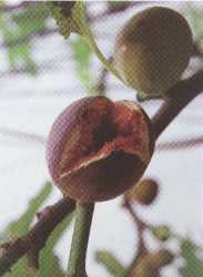 �L��G�����G�A���`�N�����P�ΰ��޲z