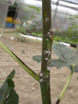 �����άO�L��G�]�I����D�n���ή`