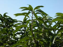 �}�n�����G�K�y