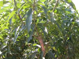 �j�������G�K��