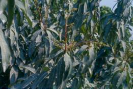 �i���h�G�B�z��ܶ}������㦳�O�@�ĥ�