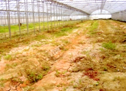 �]�I����ʥF�O�~,���y���g�[�Q���ֿn