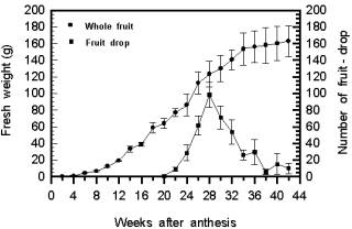 10�~�ͭZ���a�G��ͪ��P���G�q���ܤơ]1999.3��2000.1�^