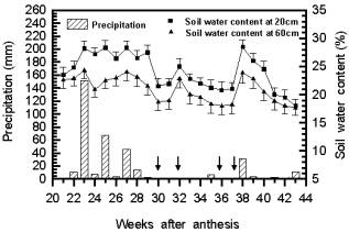 10�~�ͭZ���a�հϪG�魰�B�q�B��@���]�b�Y���ܪ̡^